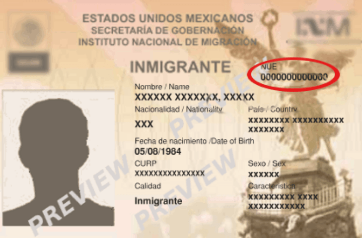 Presentan Nuevos Lineamientos Para Expedición De Visas A Extranjeros Quadratín Cdmx 5336