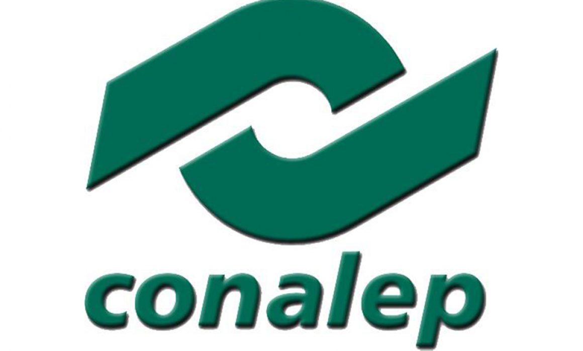 Video maestro conalep papantla