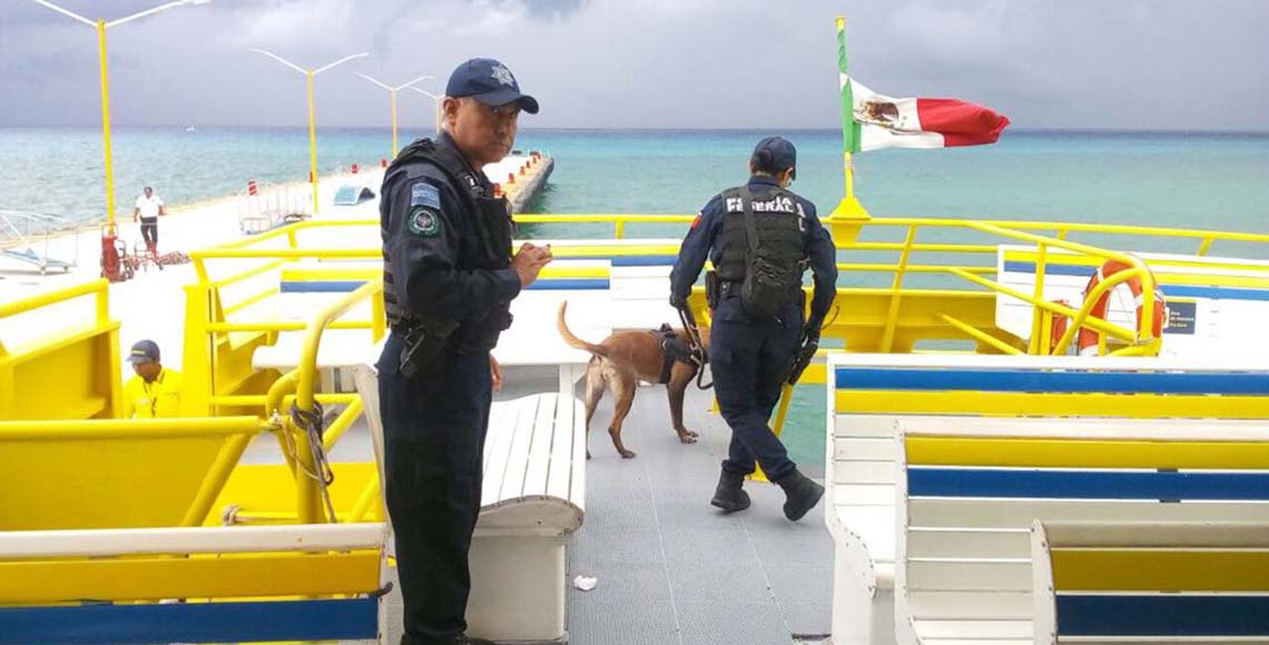 Refuerza PF seguridad en puntos turísticos de Playa del Carmen y ...