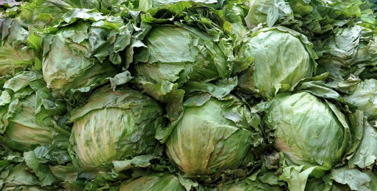 Sin evidencia que productos mexicanos originaron brote de salmonella: SS