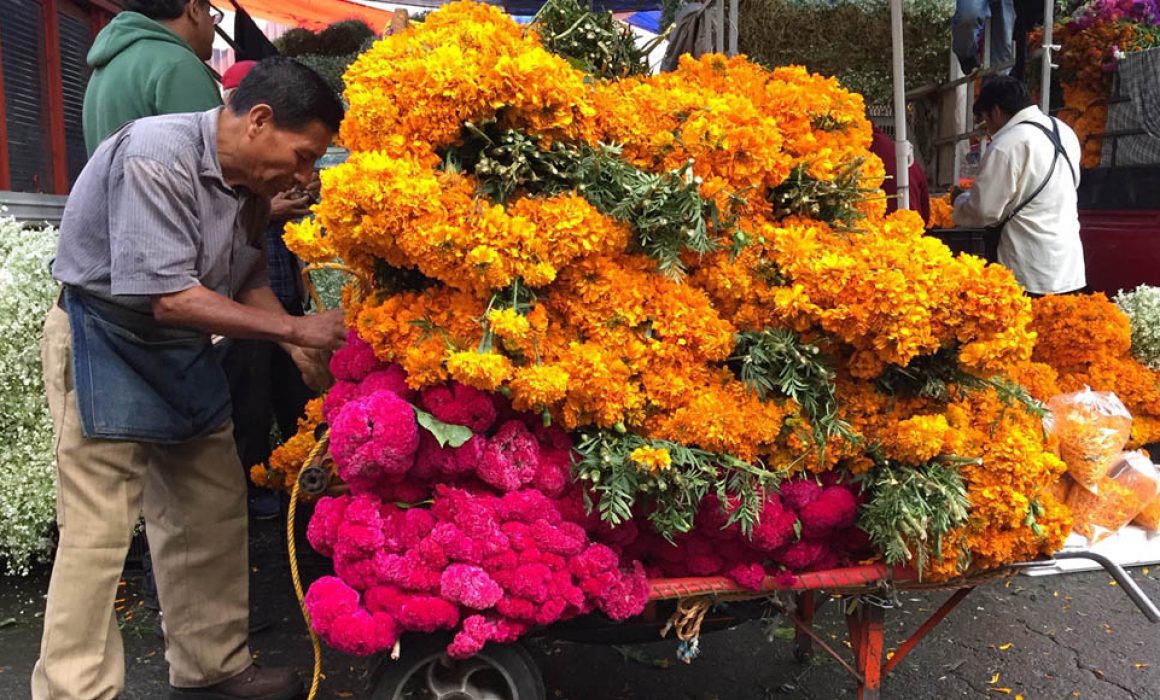 Jamaica, un mercado de flores, color y mucha tradición/Rodrigo Aridjis