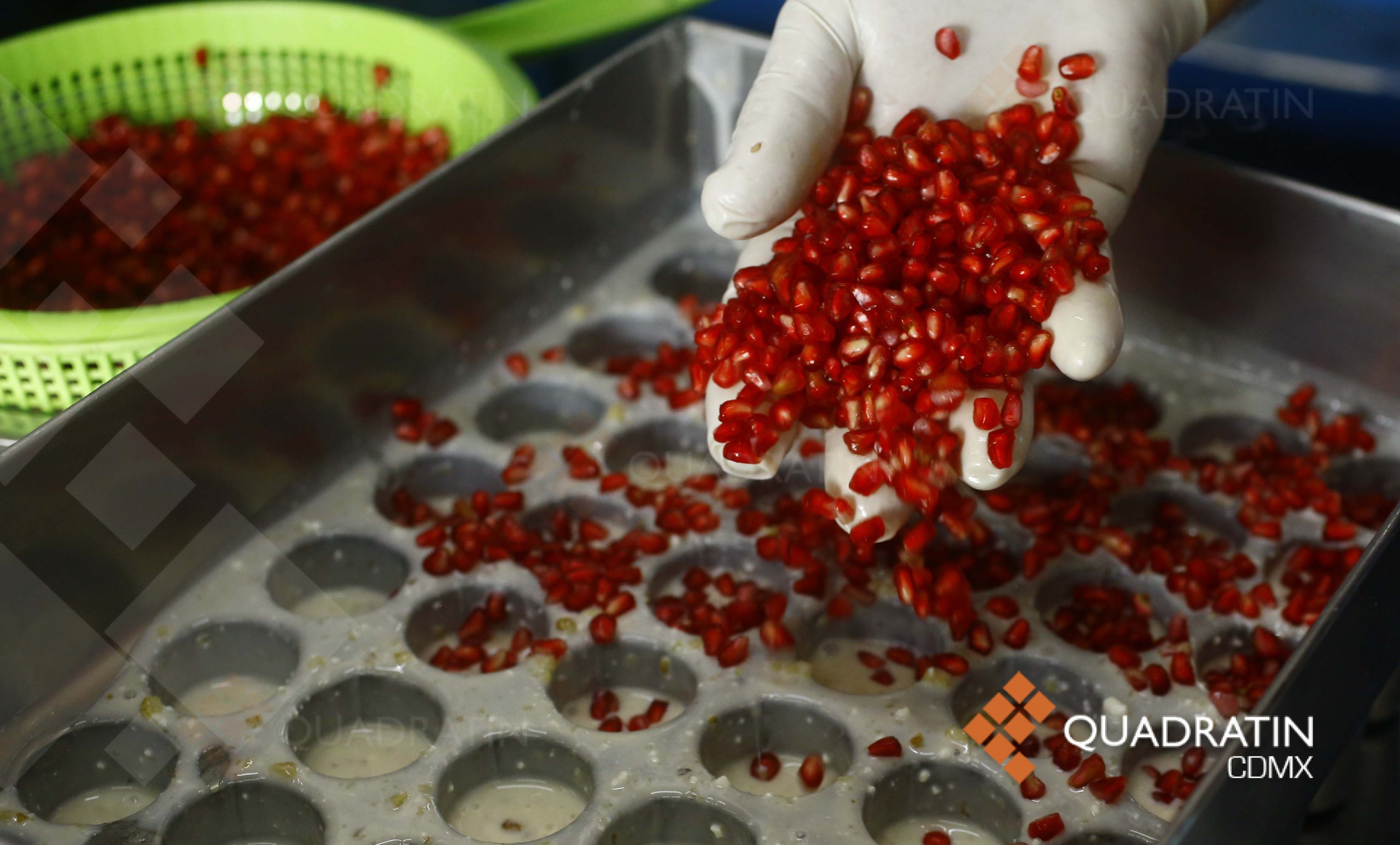 Deshidratador de Alimentos para Secado Rápido de Frutas y Verduras