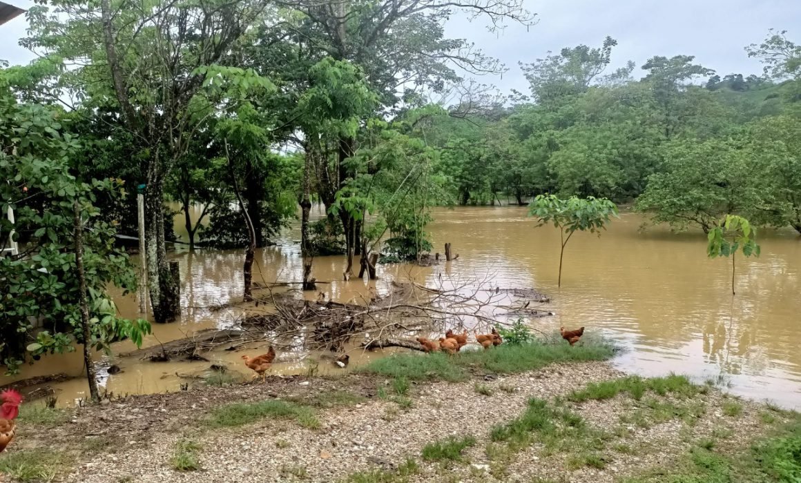 Comunidades De Las Choapas Incomunicadas Por Desbordamiento De Río