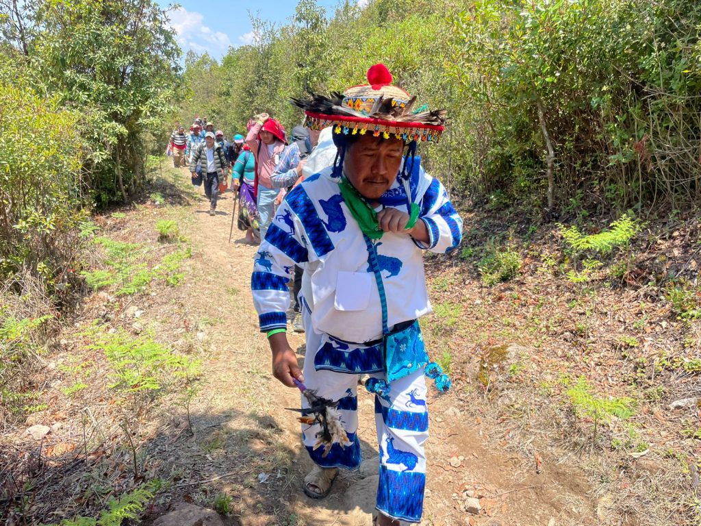 Caminaron hasta el lugar sagrado del Coscomate. Foto: INPI