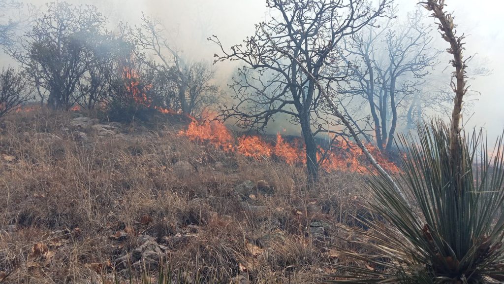 Incendio forestal en Guanajuato, Foto: Protección Civil Guanajuato capital