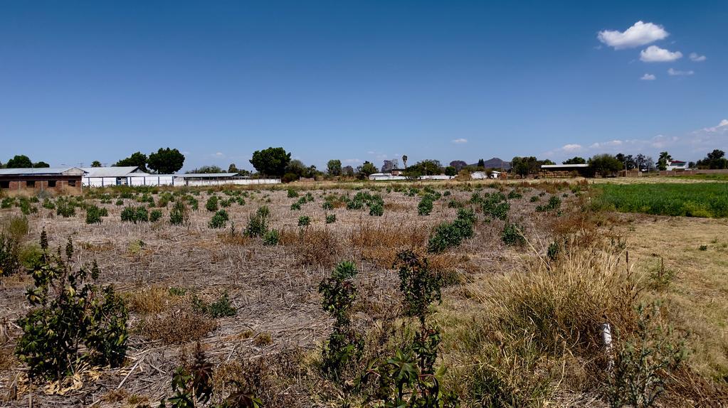 Aseguran que en 16 entidades que ya tienen afectaciones en el 100 por ciento de su territorio. Foto: UMFFAAC