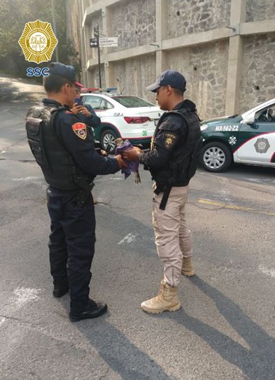 Policías recuperan halcón en calles de la Ciudad de México.