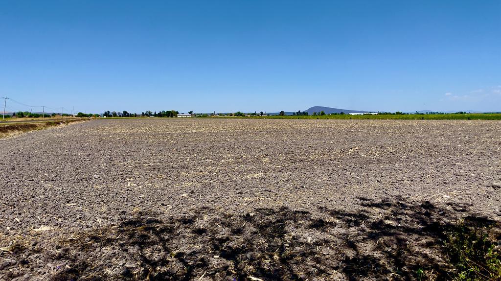 Rechazan productos ilegales en el campo. Foto: UMFFAAC