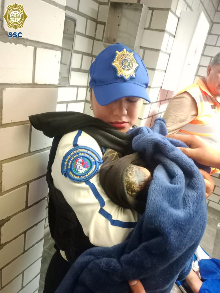 Policías ayudan a dar a luz a mujer. Foto: SSC