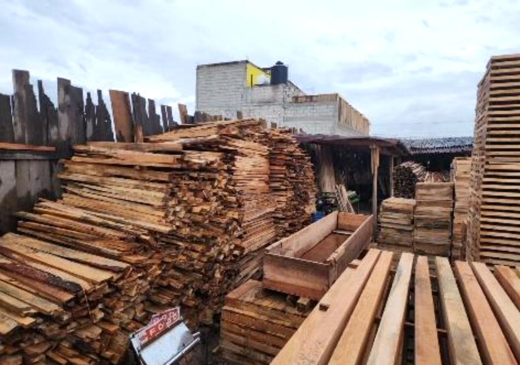 Se aseguraron mil 800 piezas de madera de diferentes tamaños. Foto: FGR