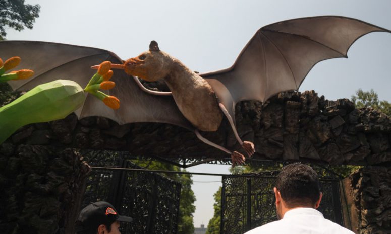 Polinizan murciélagos a Bosque de Chapultepec con arte y conciencia