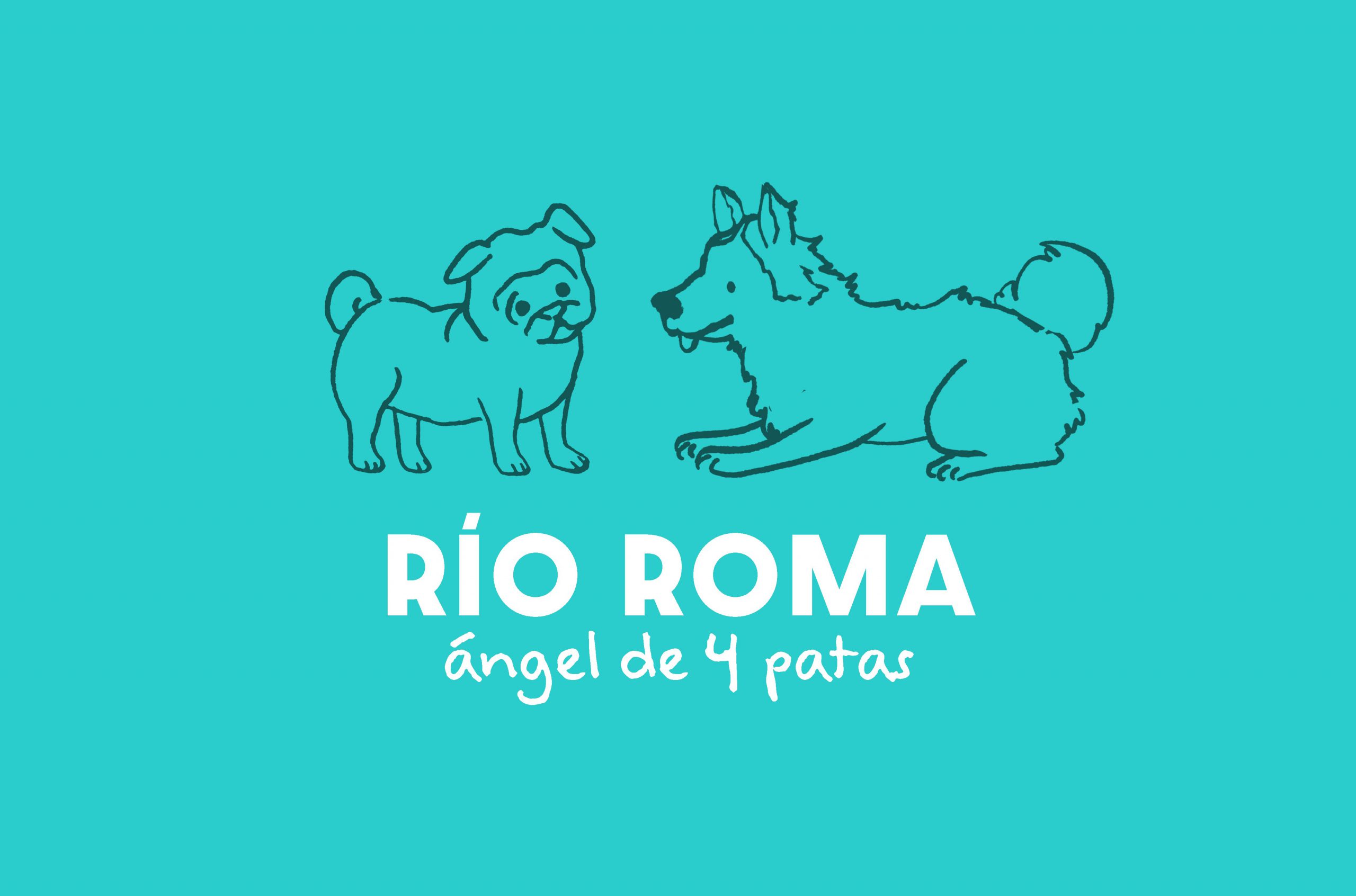 Mueve la colita el Ángel de 4 Patas de Río Roma