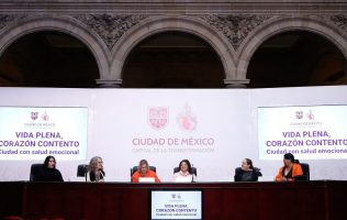 Destinará Brugada 100 mdp para la salud mental en 2025