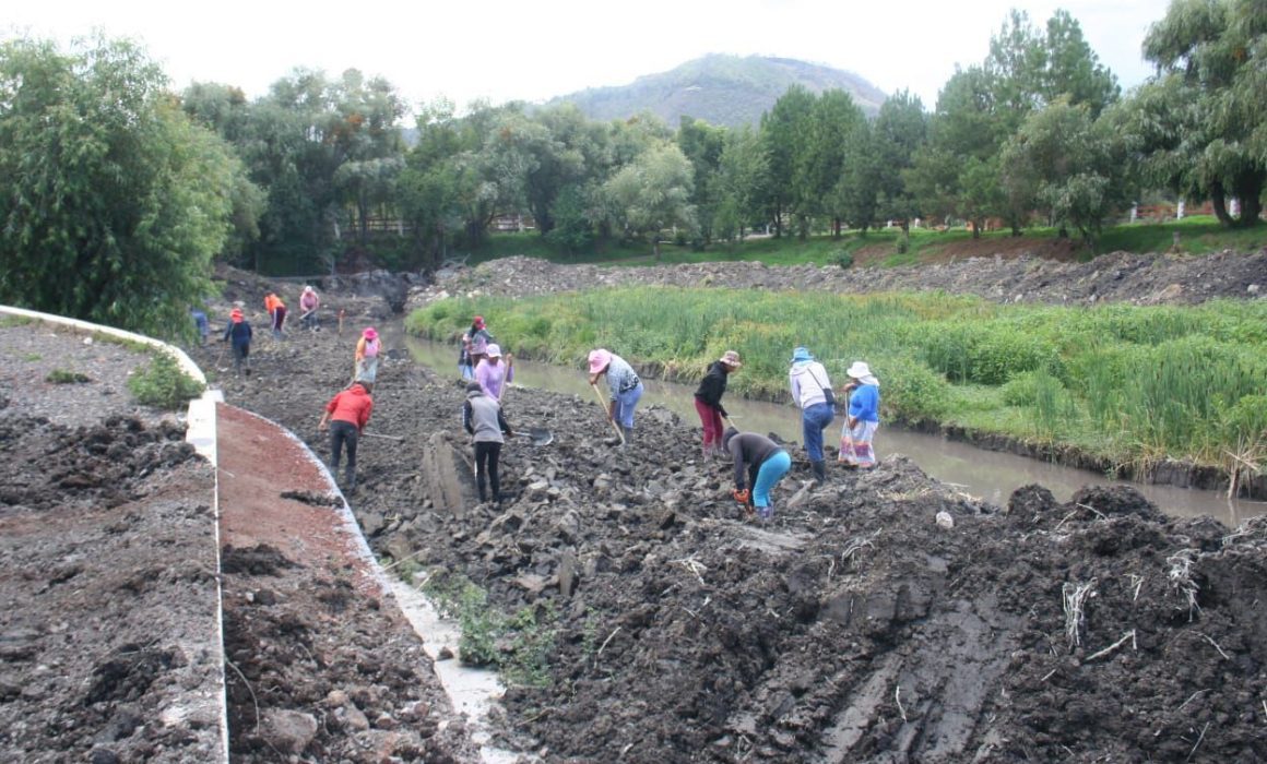 Mil empleos temporales, para rescate del lago de Patzcuaro