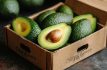 Anotan aguacateros en Super Bowl con financiamiento flexible: Mundi