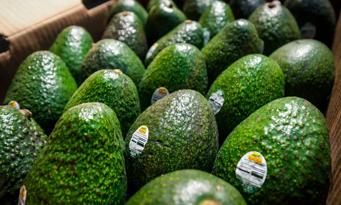 Anotarán Michoacán y Jalisco 110 mil toneladas de aguacate en Super Bowl