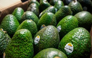 Anotarán Michoacán y Jalisco 110 mil toneladas de aguacate en Super Bowl