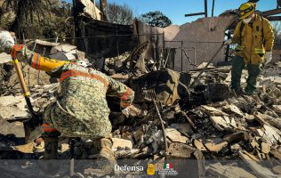 Equipos Urban Search And Rescue del Ejército Mexicano en California