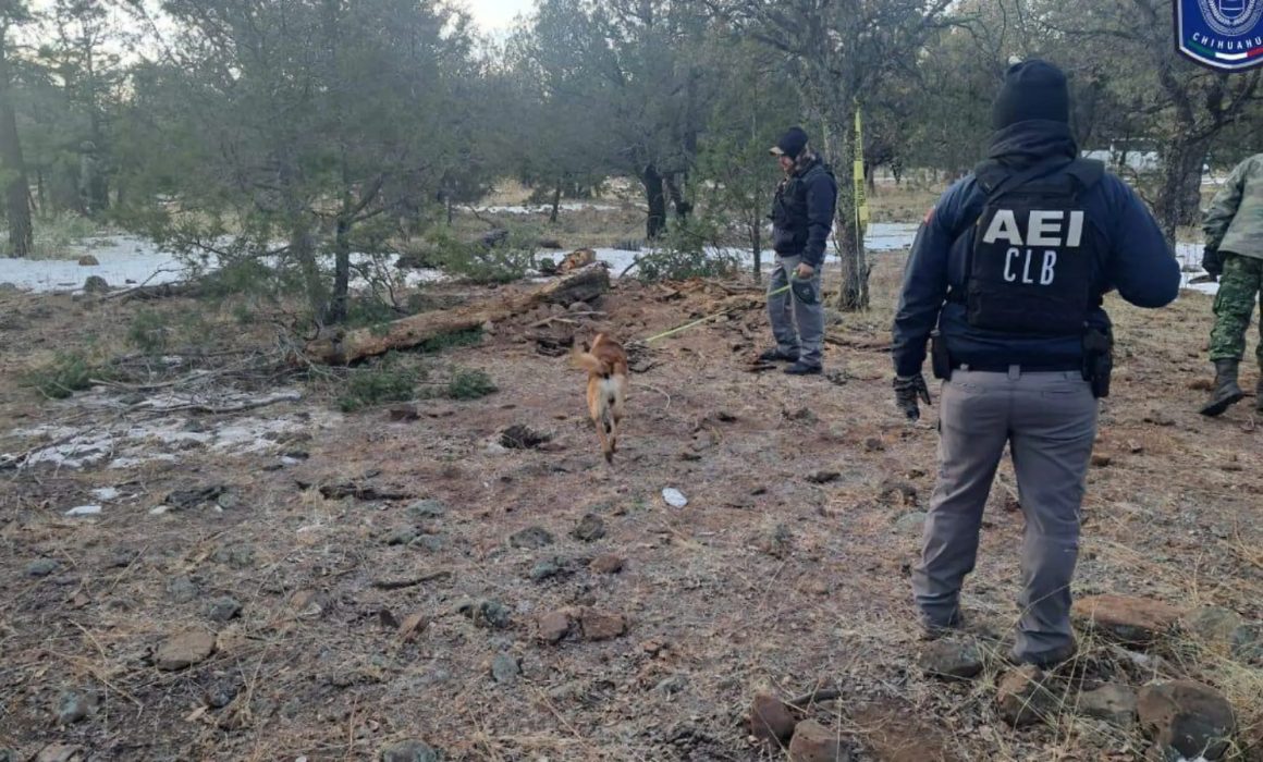 Localizan fosa clandestina en Nuevo Casas Grandes, Chihuahua