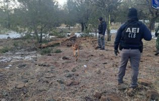 Localizan fosa clandestina en Nuevo Casas Grandes, Chihuahua