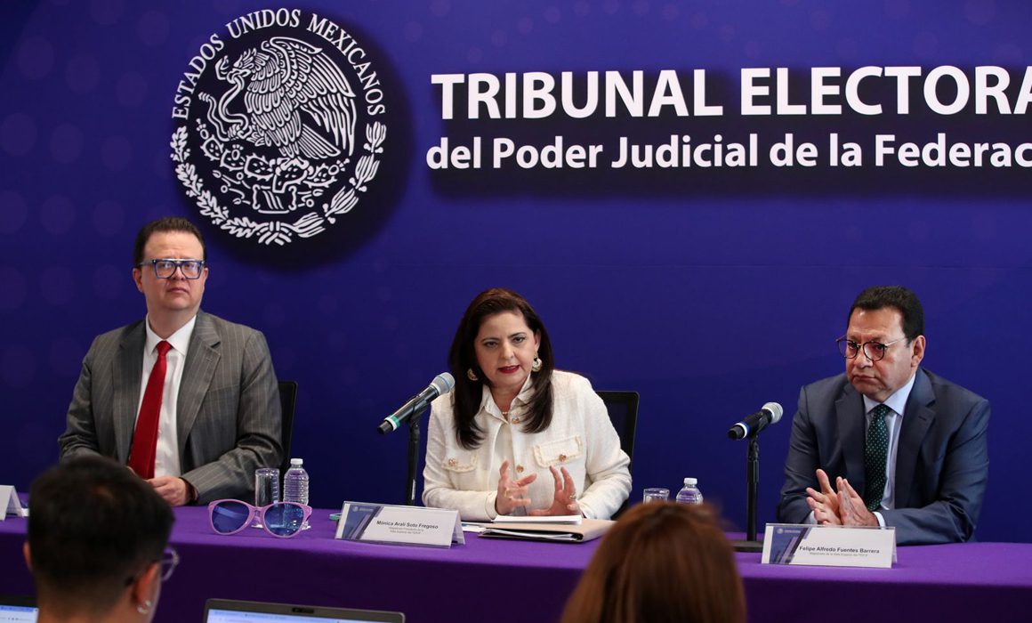 Inexistentes, omisiones atribuidas a comités del Ejecutivo y Legislativo: TEPJF