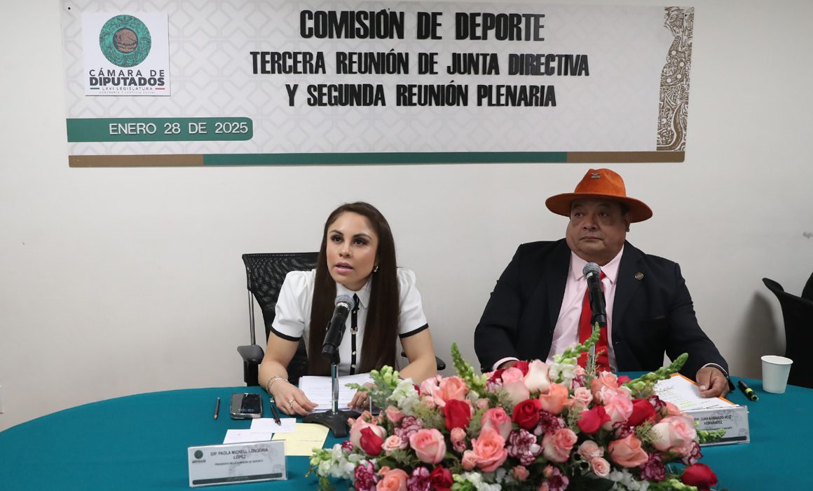 Desaprueban en San Lázaro dictamen sobre becas para deportistas