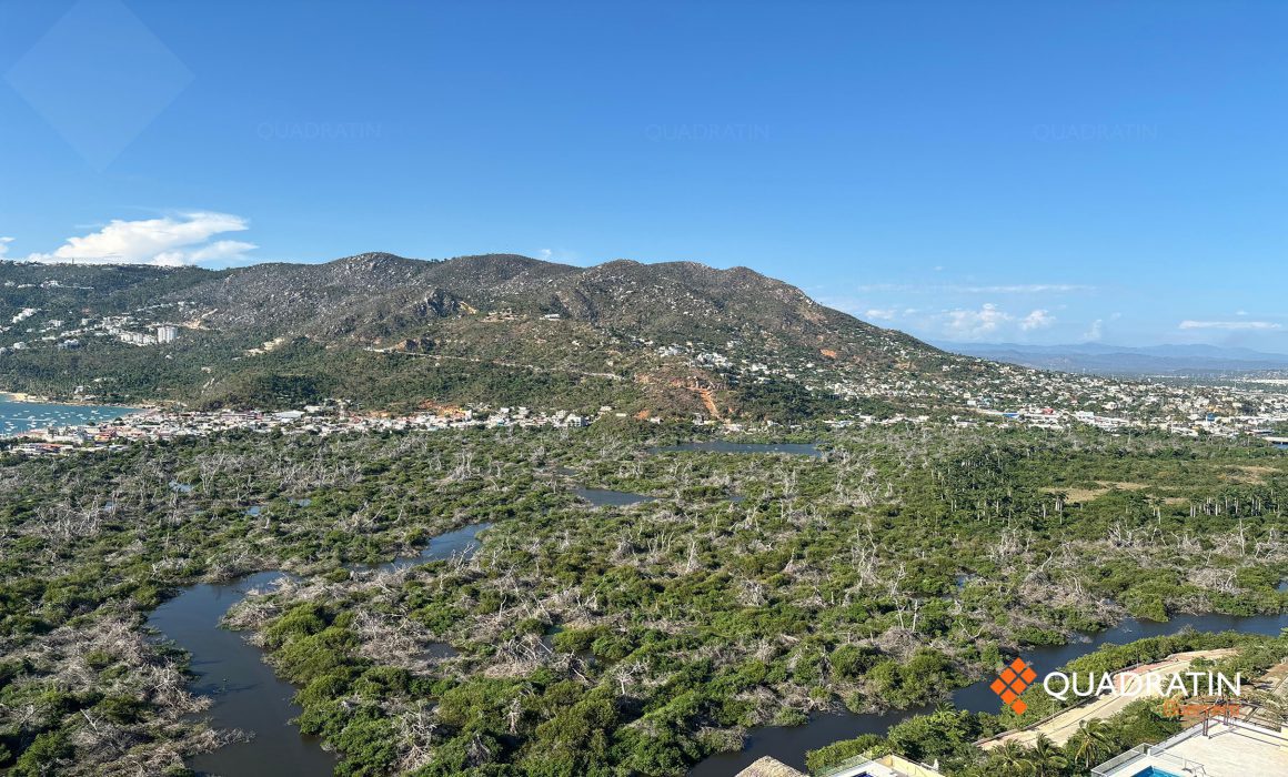 Comienza restauración de manglares tras Otis y John en Acapulco