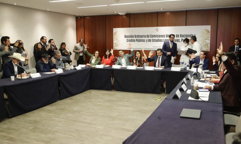 Avanza exportación del totoaba de cultivo al Pleno del Senado