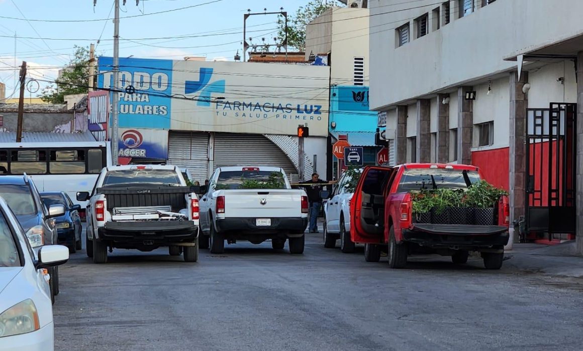 Desmantelan invernadero de marihuana dentro de hotel de Chihuahua