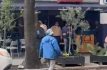 Culpa alcaldesa Alessandra Rojo de la Vega al crimen organizado de tiroteo en restaurante de la Roma