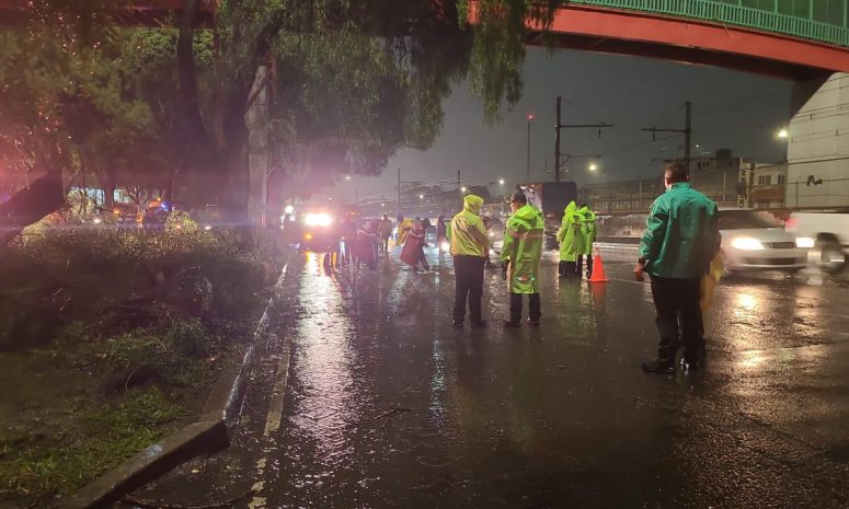 CDMX: atienden 35 encharcamientos, 15 árboles caídos y desborde de presa