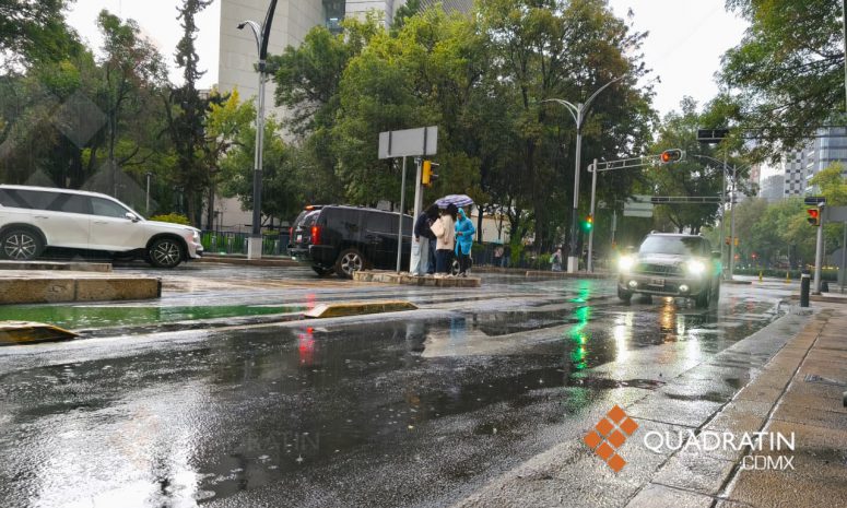 Saldo de lluvias en CDMX: 48 encharcamientos y 19 árboles caídos