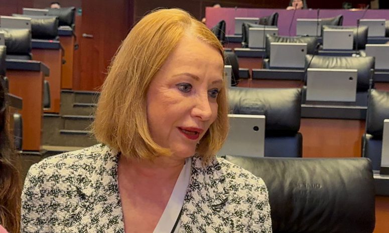 No hay nada definido: Laura Itzel Castillo sobre presidir Senado