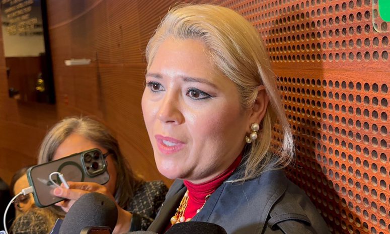 Competirá Camino Farjat por presidir Senado