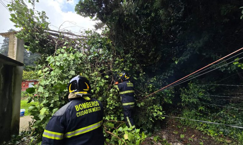 Prevé CDMX lluvias fuertes tras 31 encharcamientos y 14 árboles caídos