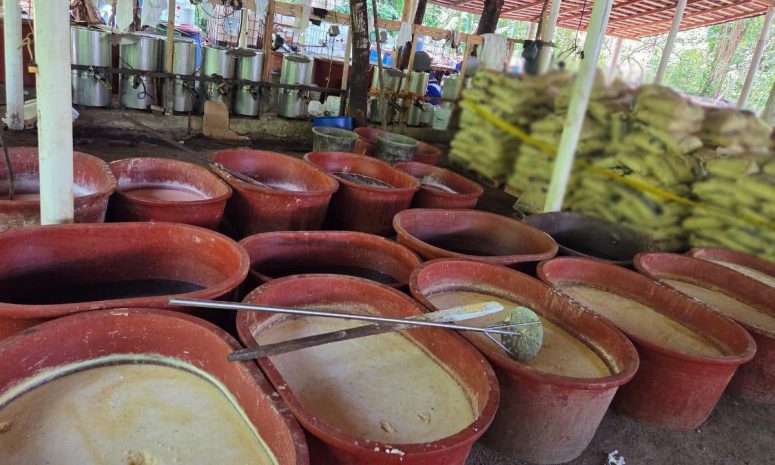Aseguran 2.5 toneladas de metanfetamina en Chiapas