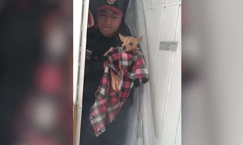 Rescatan a perrito de incendio en casa de Álvaro Obregón - Quadratín México