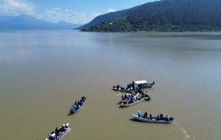 Liberan más de 80 mil peces en el lago de Pátzcuaro en un año