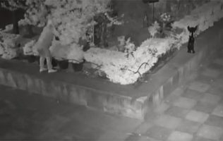 Roban esculturas de bronce en iglesia de San Cosme en CDMX