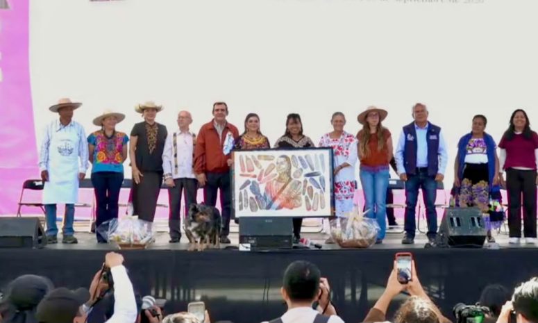 Con 10 acciones, Brugada busca proteger maíz nativo en la CDMX