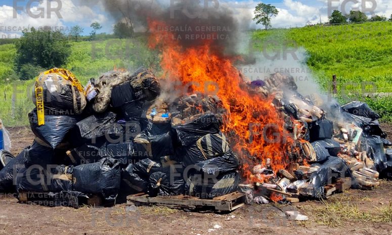 Incineran en Colima 3 toneladas de narcóticos equivalente a 648 mdp