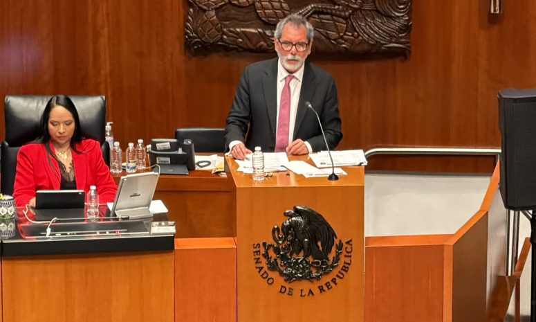 Crecimiento económico y bienestar, objetivos compatibles de la 4T: Amador