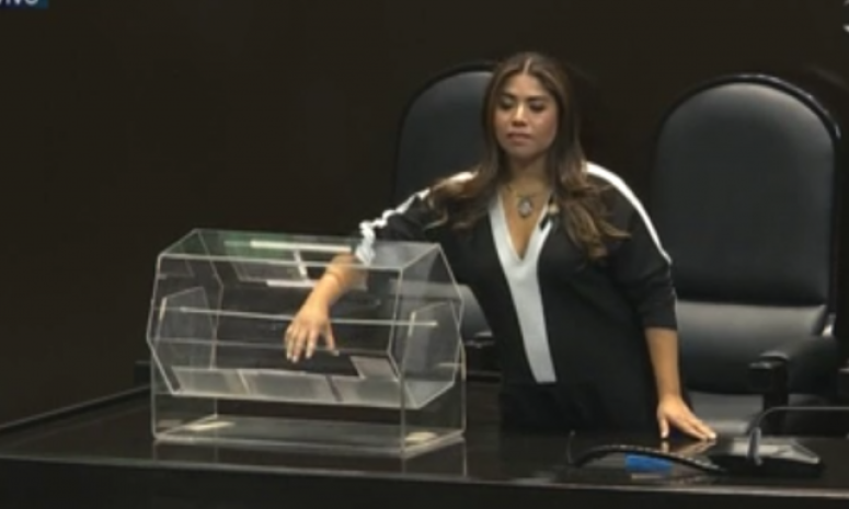 Rechaza Mier vínculo de Morena con grupo de tómbola que eligió a Taddei